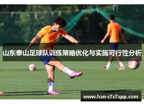 山东泰山足球队训练策略优化与实施可行性分析