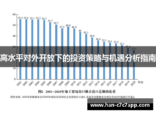 高水平对外开放下的投资策略与机遇分析指南 高水平对外开放下的投资策略与机遇分析指南