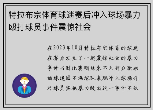 特拉布宗体育球迷赛后冲入球场暴力殴打球员事件震惊社会 特拉布宗体育球迷赛后冲入球场暴力殴打球员事件震惊社会